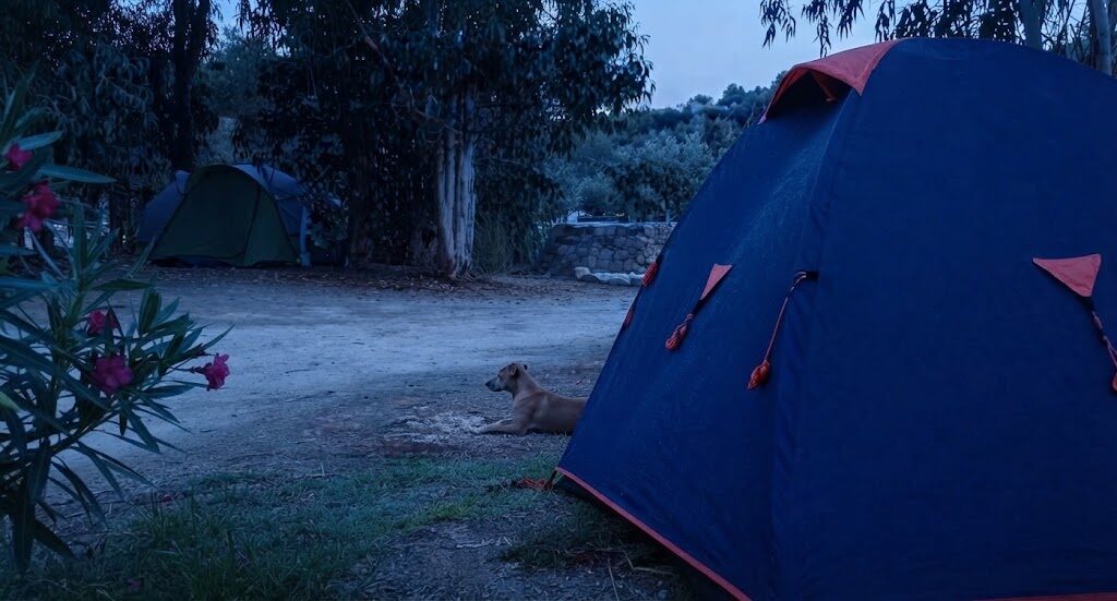 Domo transparente com vista sobre a paisagem — Glamping em Setúbal
