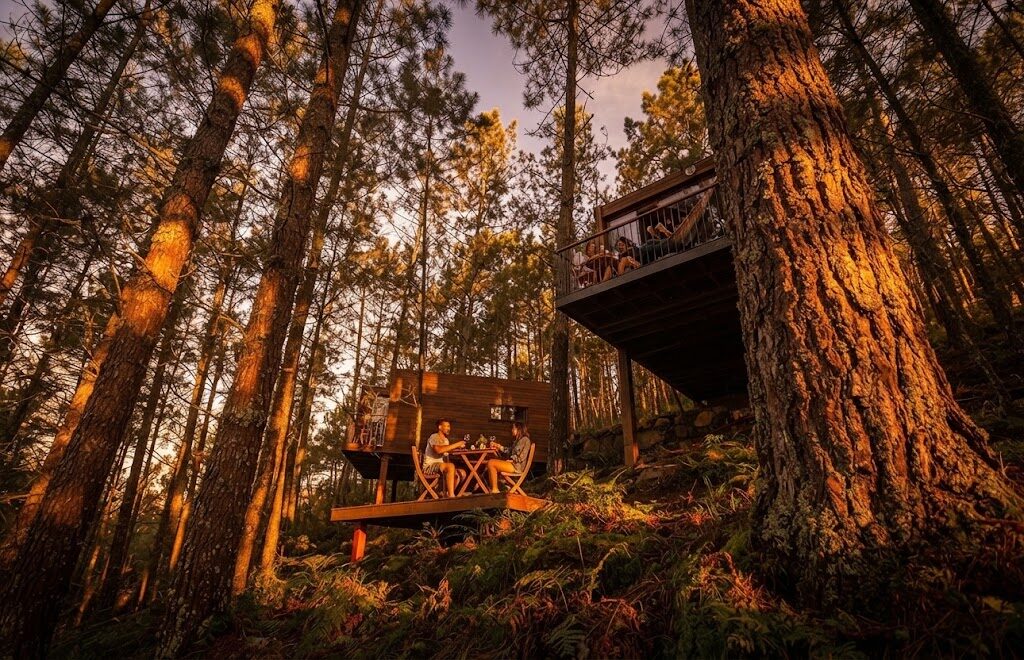 Cabana de madeira rodeada de árvores — Reservas e Melhores Glampings de Portugal